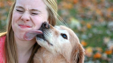 HOMEMADE HAIRY PUSSY LICKING